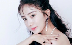 紫檀王剧情介绍